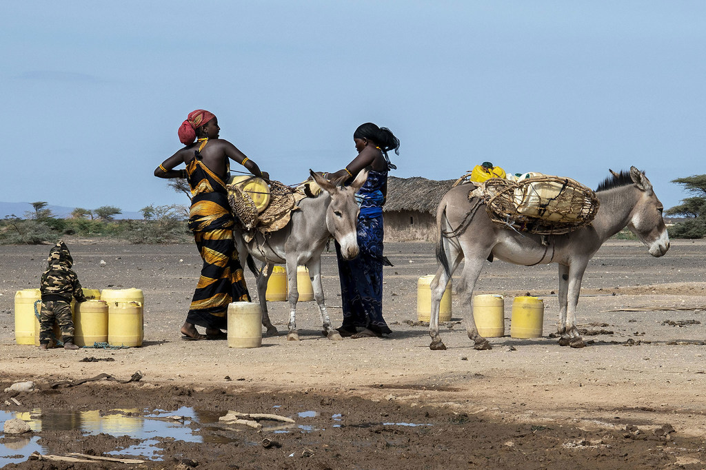 Mujeres recogiendo agua en Marsabit, al norte de Kenia, una zona azotada por la sequía. 