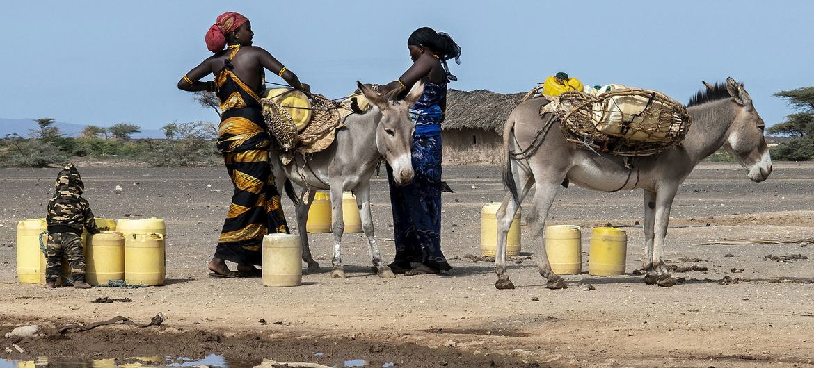Des femmes collectent de l'eau à Marsabit, une région frappée par la sécheresse dans le nord du Kenya