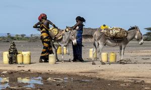 Women collect water in drought-stricken Marsabit in northern Kenya. 