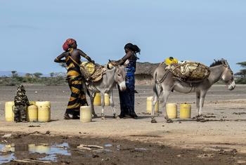 在肯尼亚北部遭受旱灾的马尔萨比特，妇女在取水。