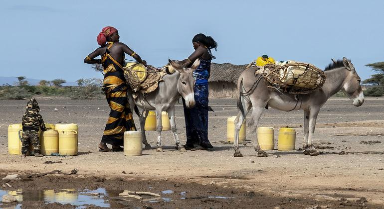 Kadınlar orantısız bir şekilde kuraklık ve çölleşmenin tahribatından muzdariptir.

 Nguncel.com