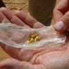 Большинство мест добычи золота расположены в Африке к югу от Сахары, Латинской Америке, Карибском бассейне и Юго-Восточной Азии.