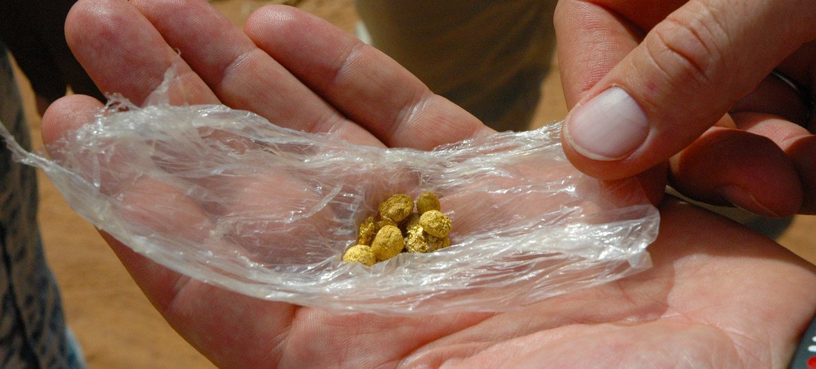 Des morceaux d'or extraits d'une mine