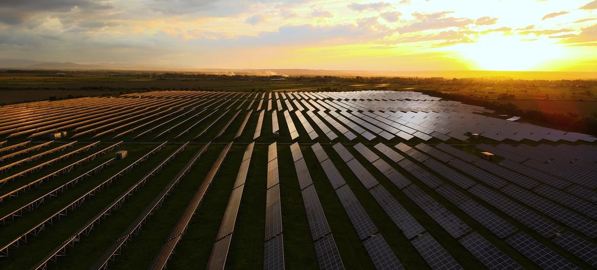 media:entermedia_image:d6d2450c-46dc-4729-8ecd-6088116060f3