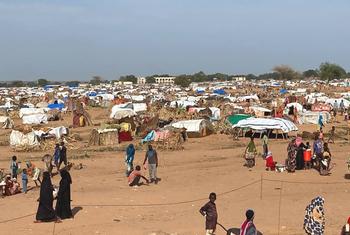 Беженцы из Судана во временном лагере в Чаде.