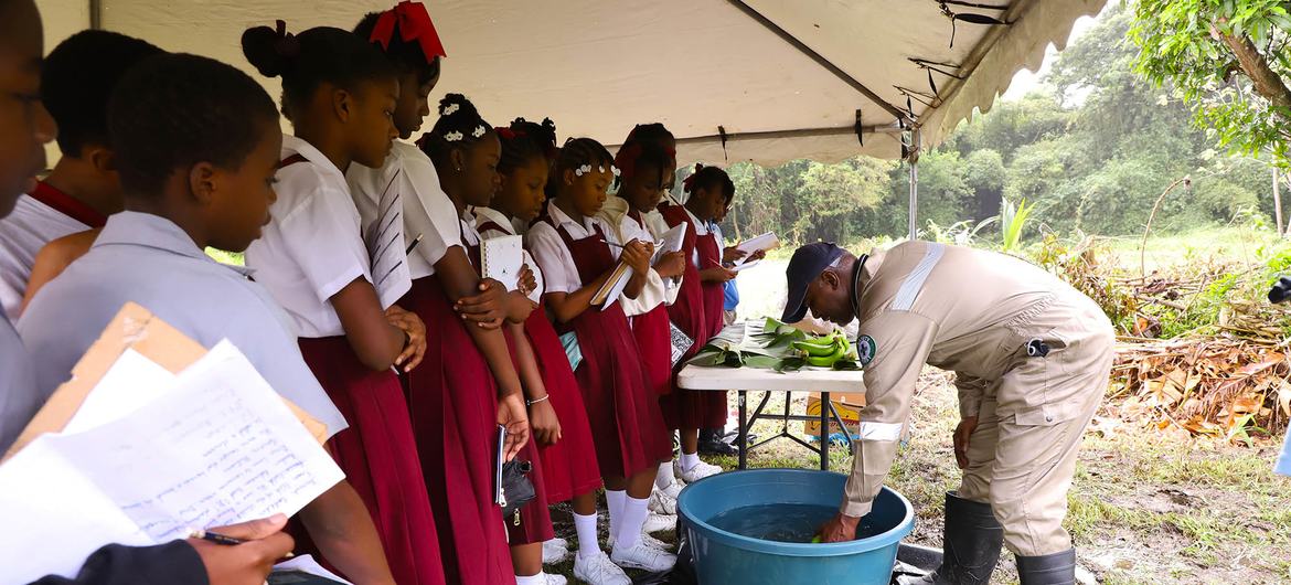 School children in Tobago learn about the cultivation of bananas.