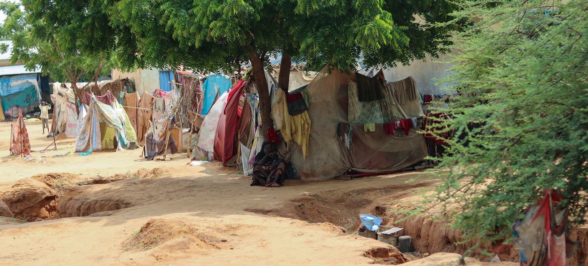 Children sit beside makeshift tents in El Fasher, North Darfur, where intensified fighting has left thousands trapped.