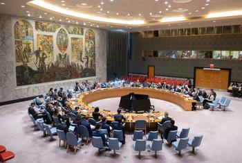 مجلس الأمن الدولي