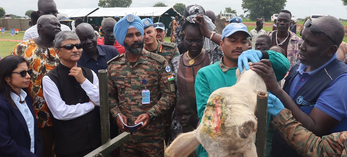 To help reduce tensions and improve livelihoods, UNMISS Indian peacekeepers conducted veterinary camps in Jonglei State to treat diseases, provided preventive care and free medicines.