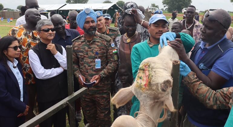 South Sudan: UN and rights experts warn against risk of mass violence in Jonglei