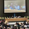 संयुक्त राष्ट्र में भारत के स्थाई मिशन ने, शान्ति की महत्ता पर, यूएन परिसर में 14 सितम्बर 2023 को एक विशिष्ट कार्यक्रम आयोजित किया.