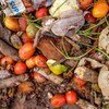 Alimentos desperdiciados en el mercado Lira, en Uganda.
