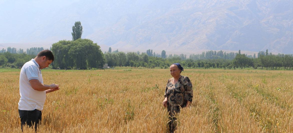 Председатель производственного семеноводческого кооператива «Чоркух» Восилахон Джалолова.