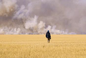 На фото – казахстанская степь. 