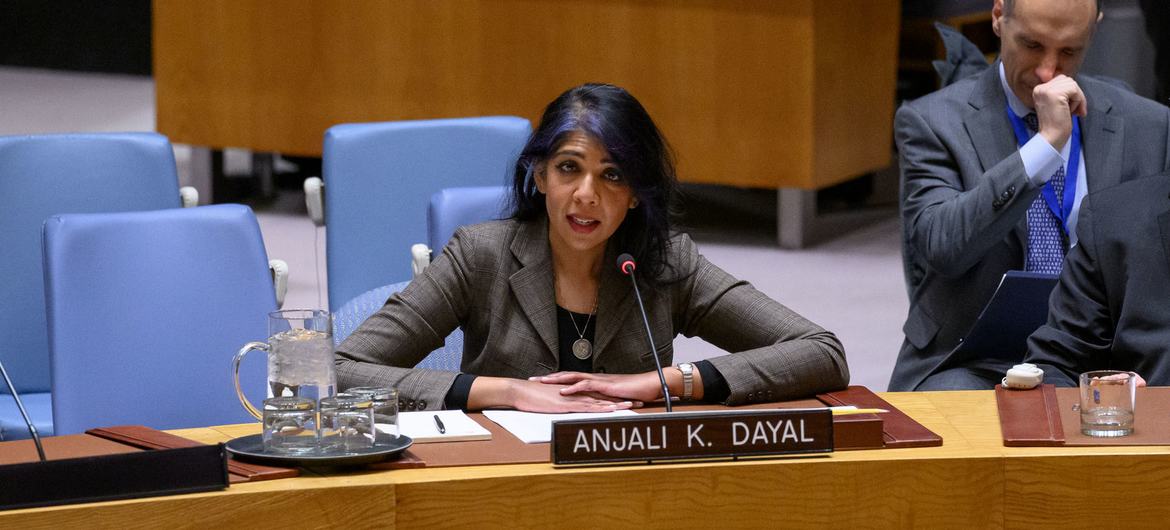 Professor Anjali Dayal of international relations at Fordham University's Lincoln Center campus, addresses the Security Council meeting on maintenance of international peace and security.