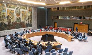 A wide view of the UN Security Council meeting on maintenance of international peace and security.