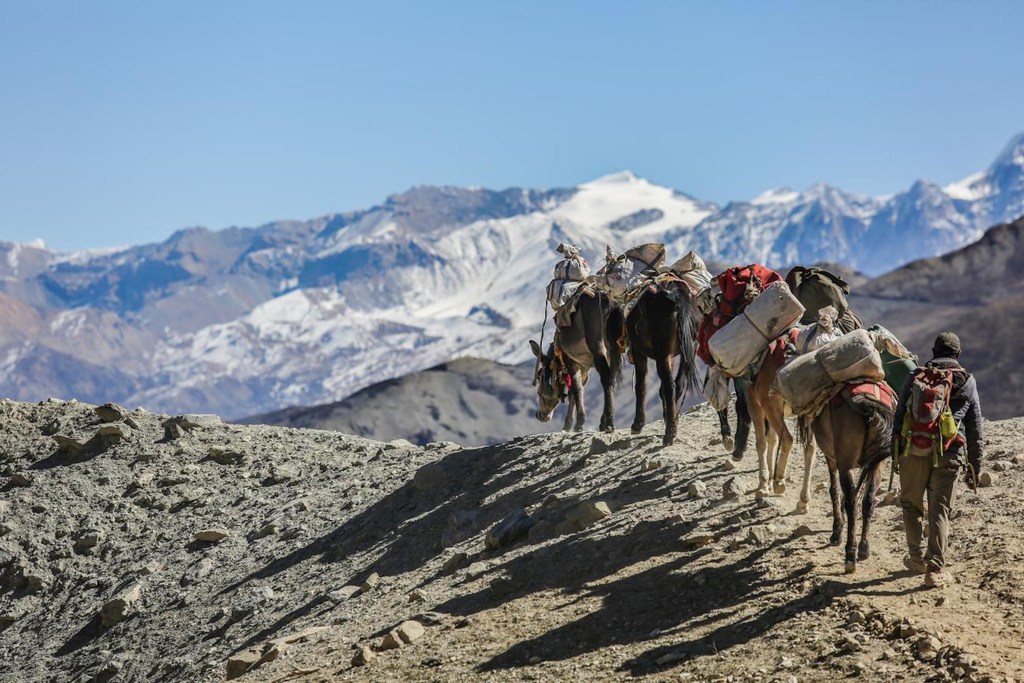 Las comunidades de montaña en la región del Himalaya Hindu Kush, incluido el municipio de Mustang en Nepal, ya están sintiendo los efectos de la pérdida de biodiversidad, el aumento del derretimiento de los glaciares y la reducción de la disponibilidad de agua.