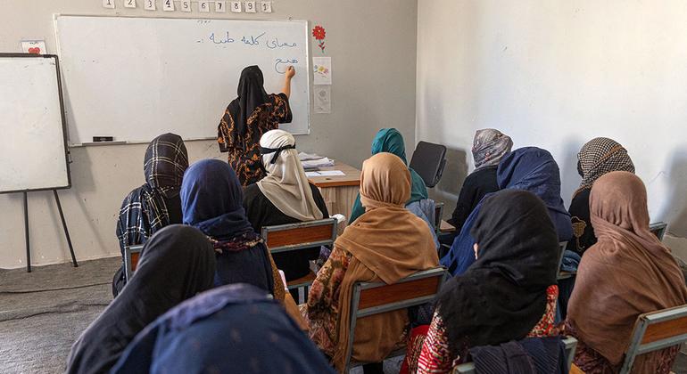 Поддержка структуры «ООН-женщины» включает в себя полный набор тренингов, призванных помочь женским организациям улучшить методы своей работы. 