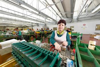 Uma mulher trabalha em uma fábrica na Albânia.
