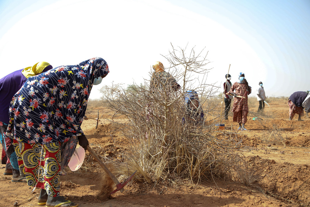 Des femmes s'occupent d'un jardin maraîcher à Tillaberi. Le Niger, situé dans la zone du Liptako-Gourma, qui souffre de conflits locaux et du débordement des combats au Mali et au Burkina Faso.