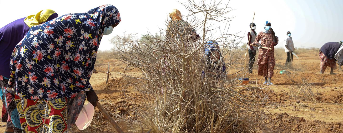 Las mujeres cuidan una huerta en Tillaberi.  Níger, ubicado en el área de Liptako-Gourma, que ha sufrido un fuerte impacto por los conflictos locales y el desbordamiento de los combates en Malí y Burkina Faso.