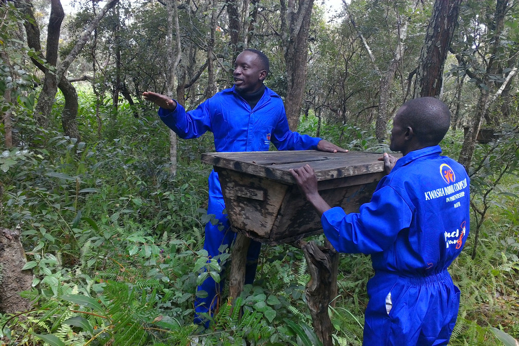 En Zambie, l'entreprise Wuchi Wami  conditionne et distribue du miel et d'autres produits bio.