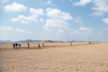 Des migrants éthiopiens traversent une zone désertique de Djibouti.