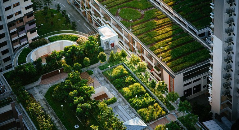 Новые зеленые города - путь к устойчивому будущему