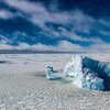 Площадь антарктического льда достигла исторического минимума.