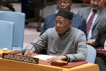 شمالی افریقہ کے لیے اقوام متحدہ کے خصوصی نمائندے عبدالائے بیتھلے سلامتی کونسل کو لیبیا کی صورتحال پر اپنی رپورٹ پیش کر رہے ہیں۔