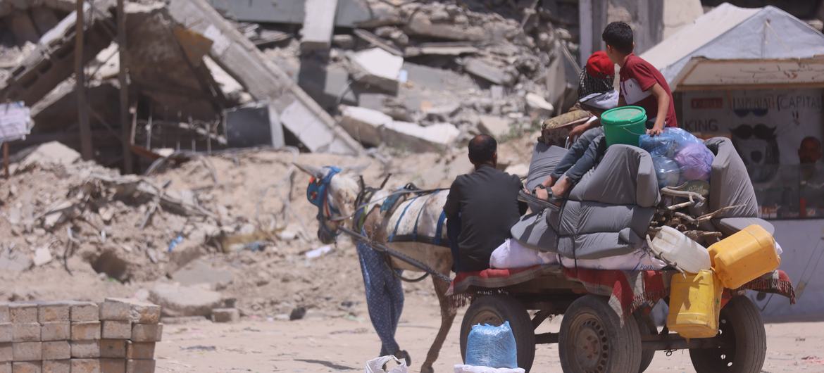 A displaced family travels on a donkey-pulled cart carrying their belongings. A displaced family travels on a donkey-pulled cart carrying their belongings.