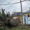 أولاد يقفون على شجرة اقتلعت من جذورها بعد إعصار موكا. سيتوي ، راخين.