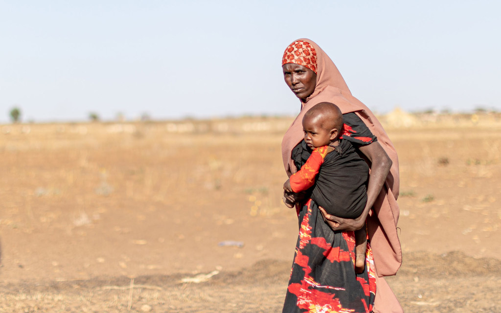 Des milliers de familles ont été déplacées par de récentes sécheresse en Ethiopie.