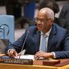 الممثل الخاص للأمين العام ورئيس بعثة الأمم المتحدة المتكاملة متعددة الأبعاد لتحقيق الاستقرار في مالي (مينوسما)، القاسم وان