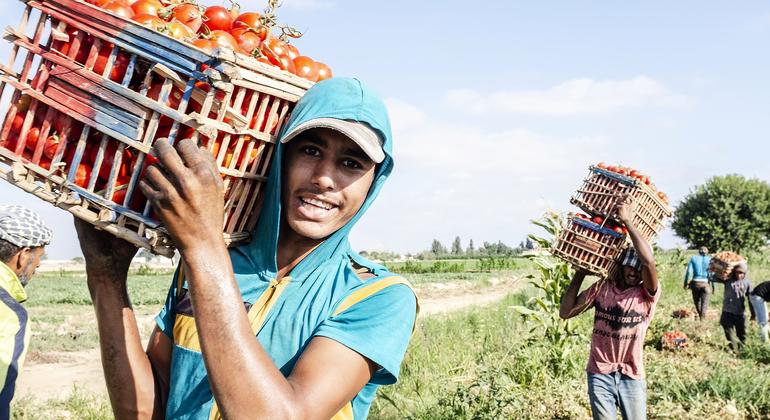 Selon un nouveau rapport de l’Organisation mondiale de la Santé (OMS) et de l’Organisation météorologique mondiale (OMM), la productivité chute de 2 à 3 % pour chaque degré au-delà de 20 °C. 