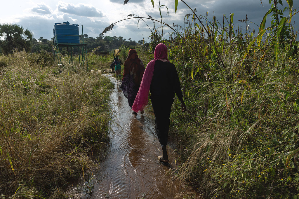 Des femmes marchent le long d'un chemin dans le Sud-Kordofan, au Soudan.