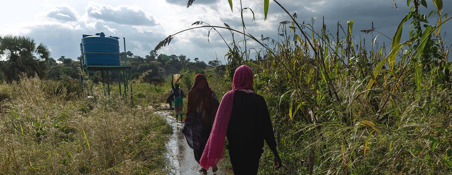 Des femmes marchent le long d'un chemin dans le Sud-Kordofan, au Soudan.