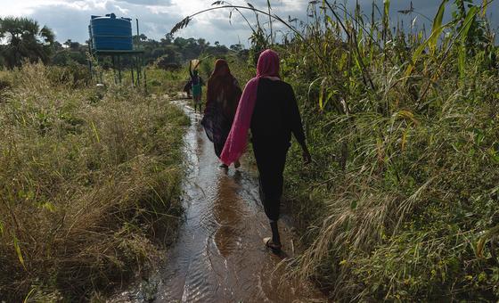 Women walk along a path in South Kordofan, Sudan