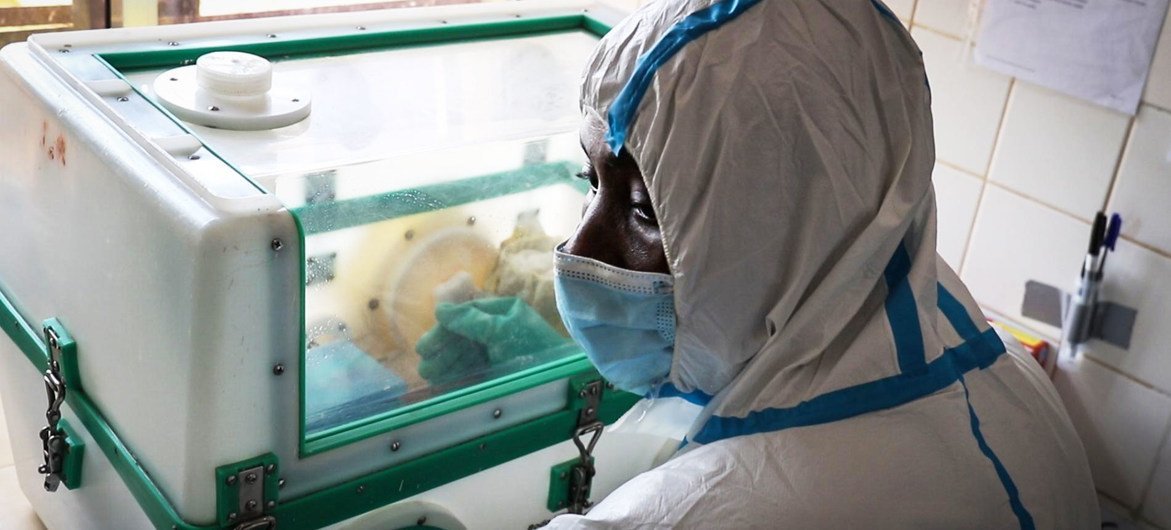 Deux scientifiques récompensés par l'OMS ont été étroitement impliqués dans la découverte de la maladie à virus Ebola.