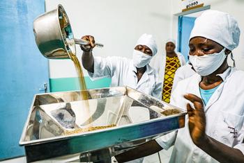尼日尔夸勒姆的一家加工厂生产强化婴儿面粉。