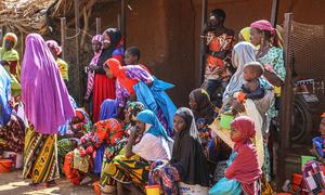 Women and children wait for rations at a WFP distribution in Niger's Tahoua region.