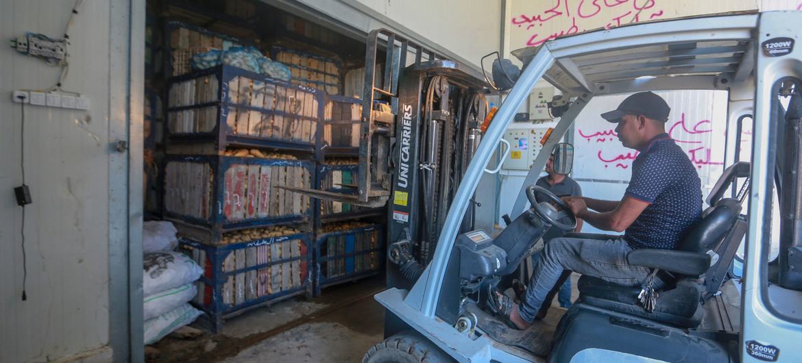 A business owner in Gaza who benefitted from an FAO Multi-donor Agribusiness Programme.  The ILO is seeking $20 million to aid the stricken Gaza job market following the ongoing conflict (file photo).