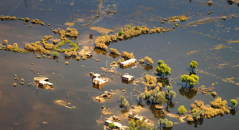 Inundaciones en la provincia de Sindh, en el sur de Pakistán