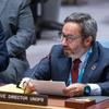 Jorge Moreira da Silva, Diretor Executivo do UNOPS, informa o Conselho de Segurança da ONU sobre a situação no Oriente Médio e em Palestina.