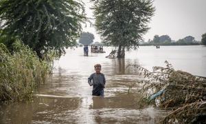 Un niño de siete años se abre paso a través de aguas de inundación hasta la altura de la cintura en Punjab, Pakistán, en septiembre de 2025.