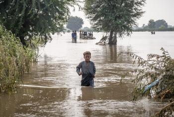 Un niño de siete años se abre paso a través de aguas de inundación hasta la altura de la cintura en Punjab, Pakistán, en septiembre de 2025.