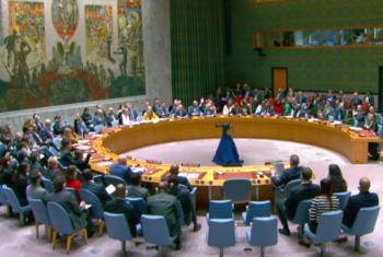 Совет Безопасности ООН