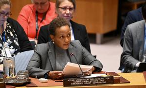 Joyce Msuya, Acting Under-Secretary-General for Humanitarian Affairs and Emergency Relief Coordinator, briefs the Security Council meeting on the situation in the Middle East, including the Palestinian question.