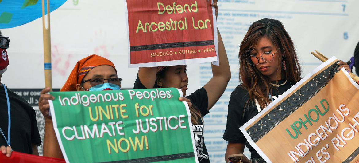 Indigenous activists protest at COP27.