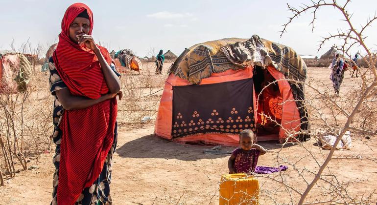Afrika Boynuzu: UNFPA, kuraklıktan etkilenen kadın ve kız çocukları için 113 milyon dolarlık bir çağrı başlattı |

 Nguncel.com